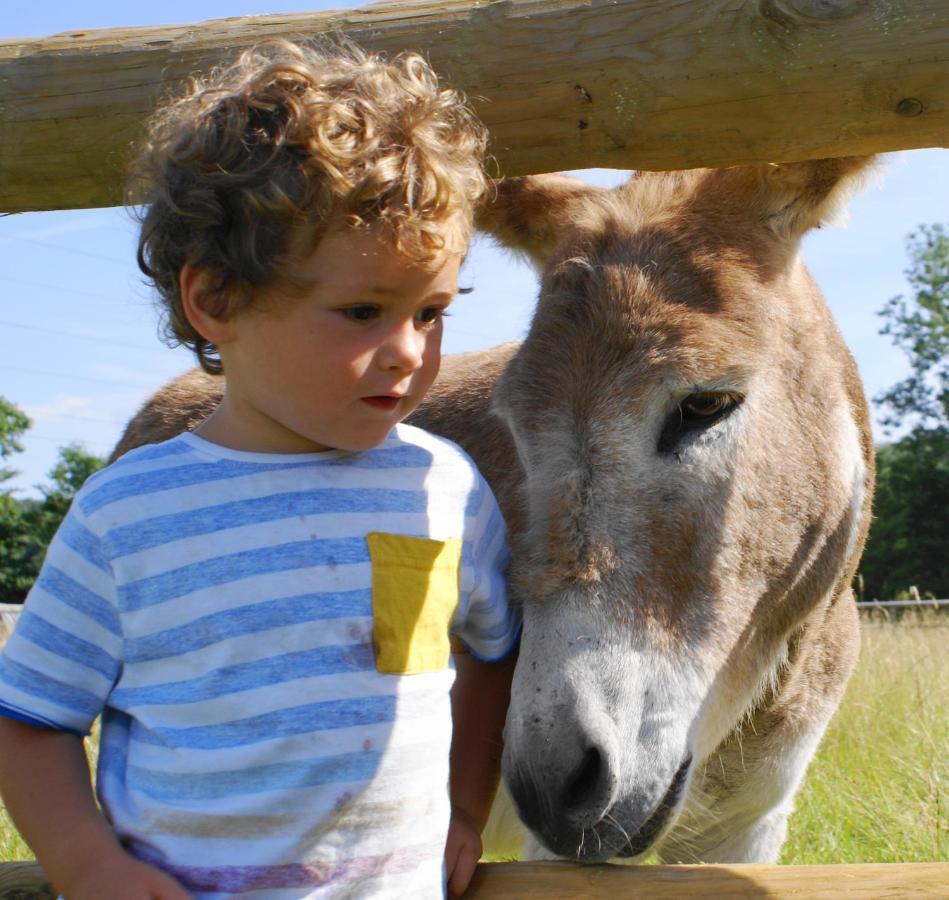 Valley Farm Bells อ็อกซ์ฟอร์ด ภายนอก รูปภาพ