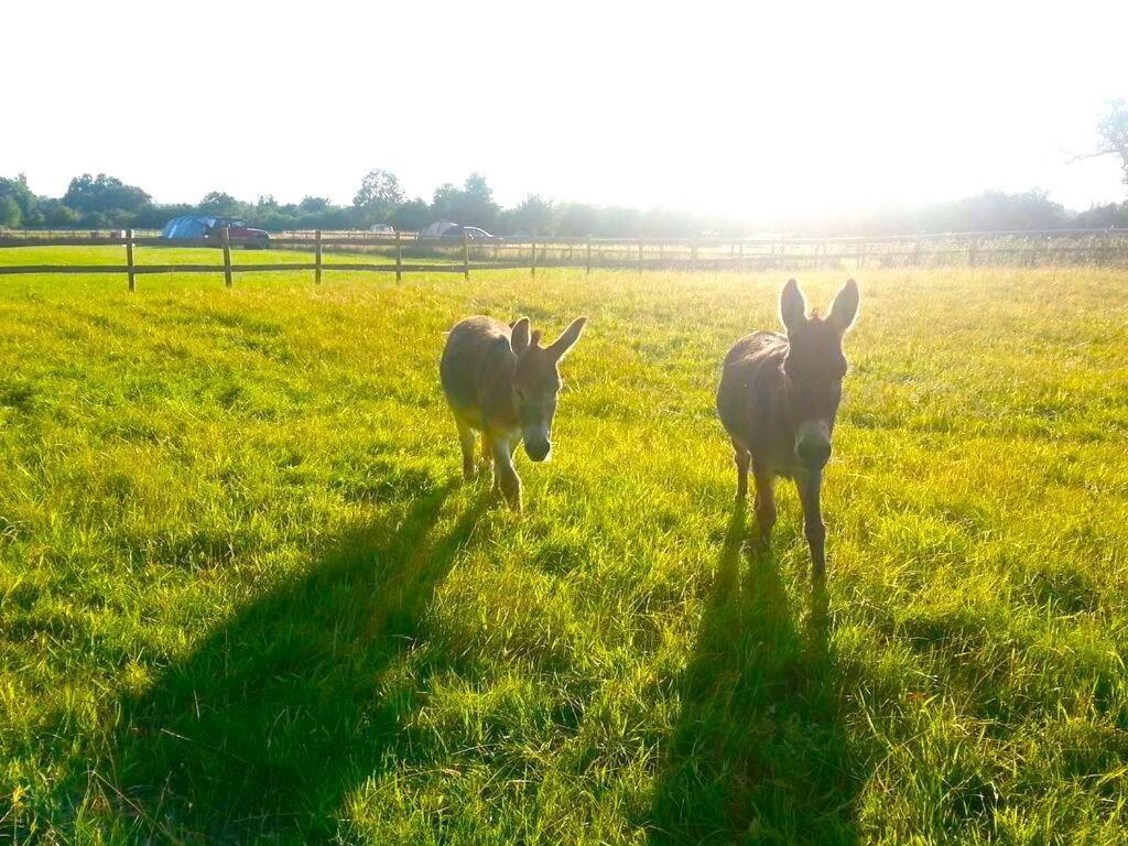 Valley Farm Bells อ็อกซ์ฟอร์ด ภายนอก รูปภาพ