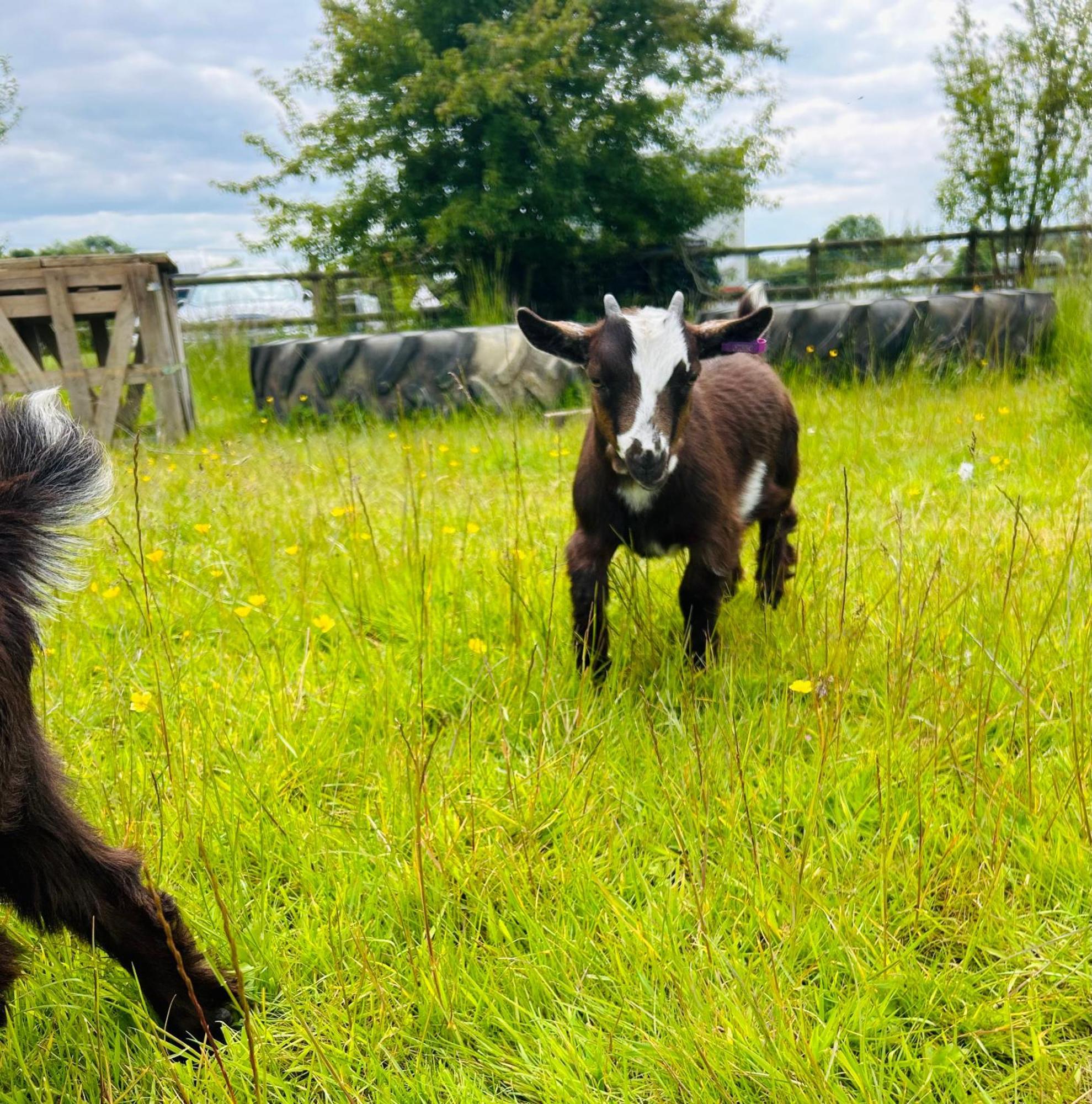 Valley Farm Bells อ็อกซ์ฟอร์ด ภายนอก รูปภาพ